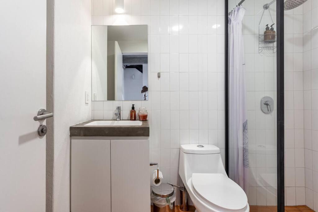 Apartment Penthouse With Private Rooftop In Mexiko-Stadt